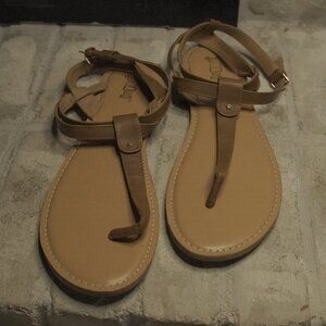 Brand New Brash Zoden Cognac Open Toed Brown Sandals Women's Size 13